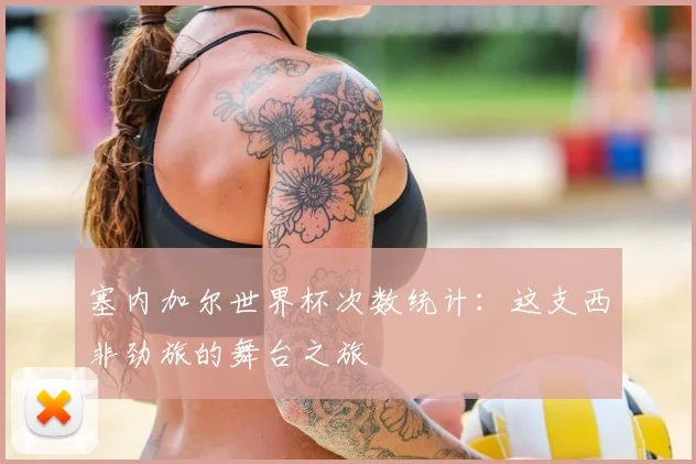 塞内加尔世界杯次数统计：这支西非劲旅的舞台之旅
