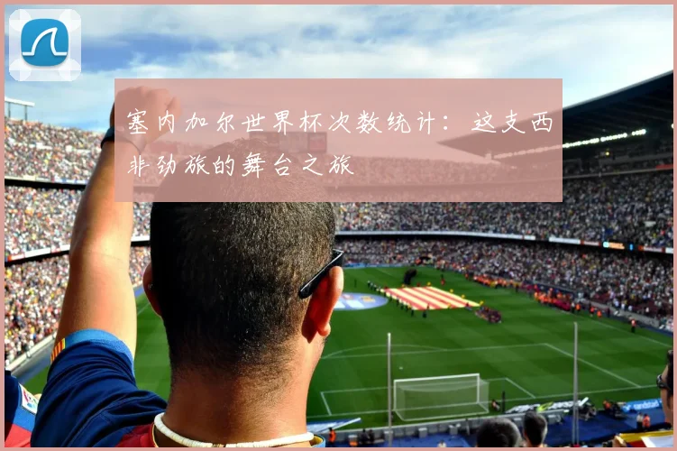 塞内加尔世界杯次数统计：这支西非劲旅的舞台之旅